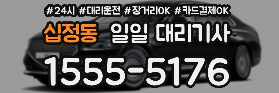 십정동 일일 대리기사