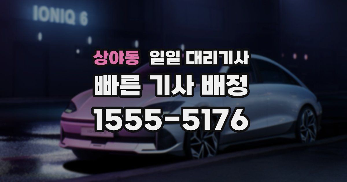 상야동 일일 대리기사