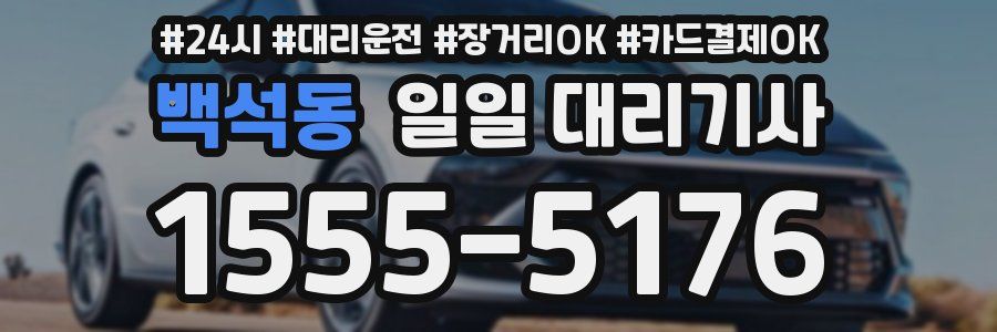 백석동 일일 대리기사
