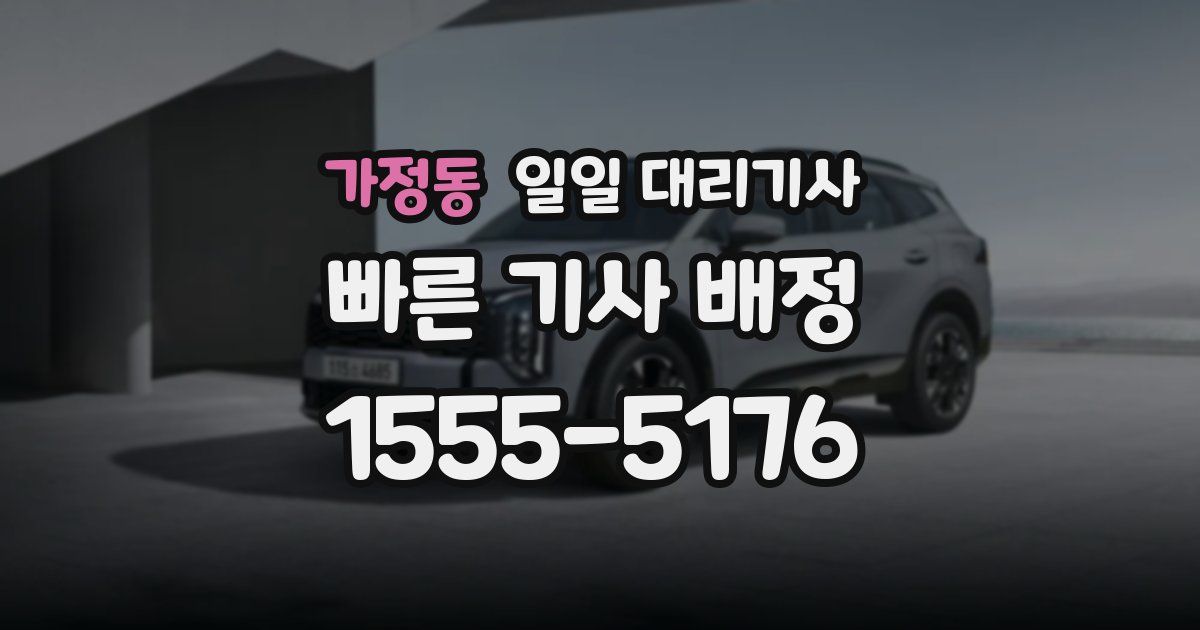 가정동 일일 대리기사