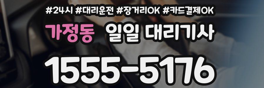 가정동 일일 대리기사