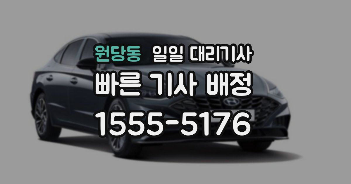 원당동 일일 대리기사
