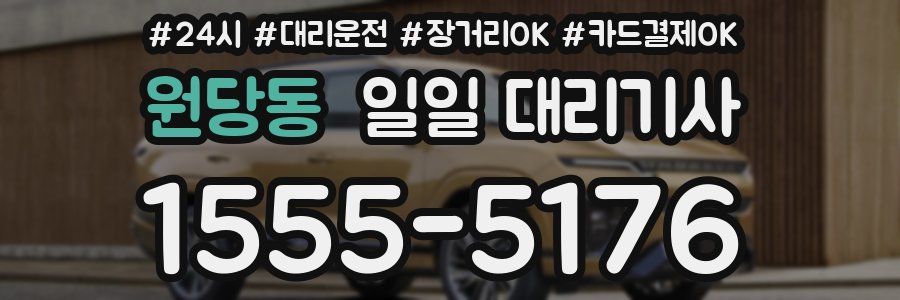 원당동 일일 대리기사