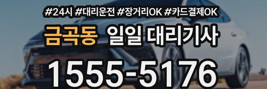 금곡동 일일 대리기사
