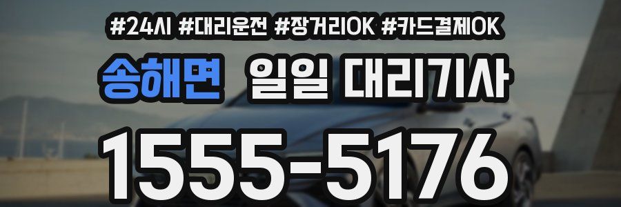송해면 일일 대리기사