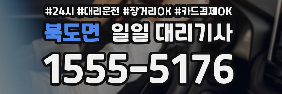 북도면 일일 대리기사