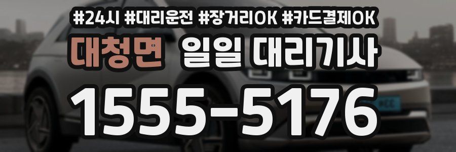 대청면 일일 대리기사