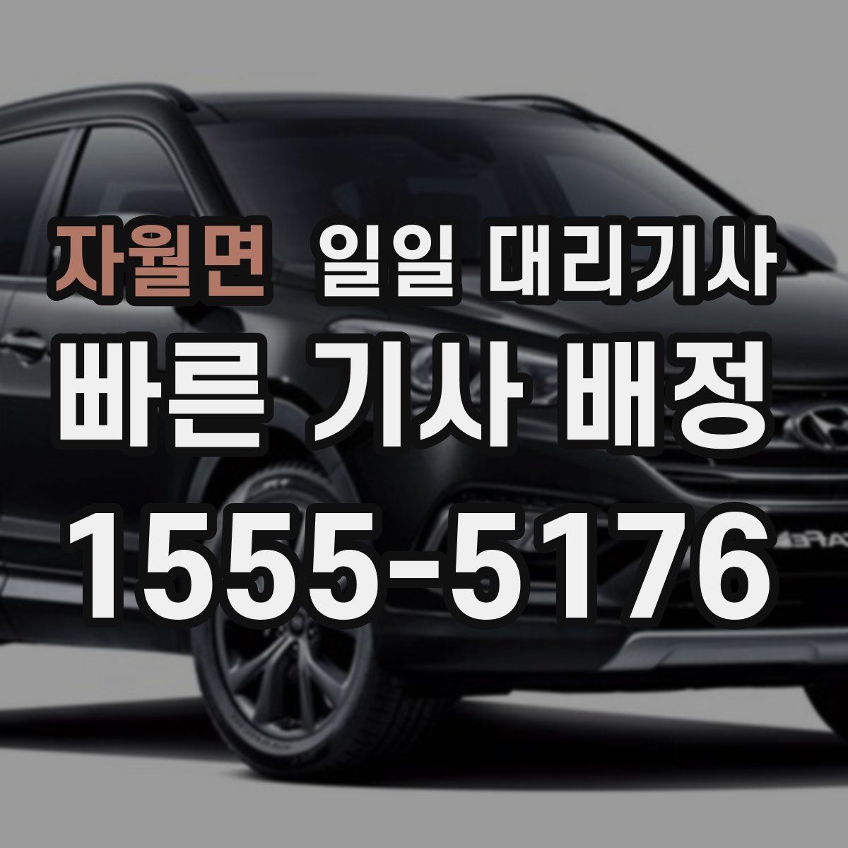 자월면 일일 대리기사