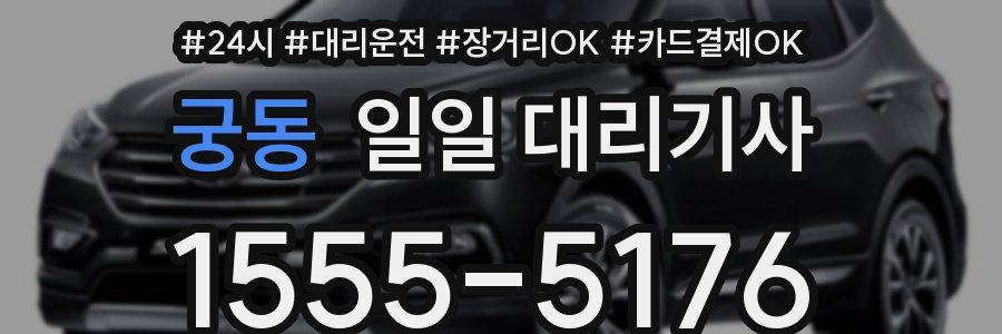 궁동 일일 대리기사