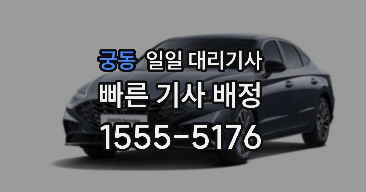 궁동 일일 대리기사