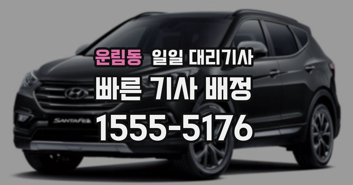 운림동 일일 대리기사