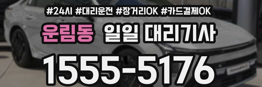 운림동 일일 대리기사