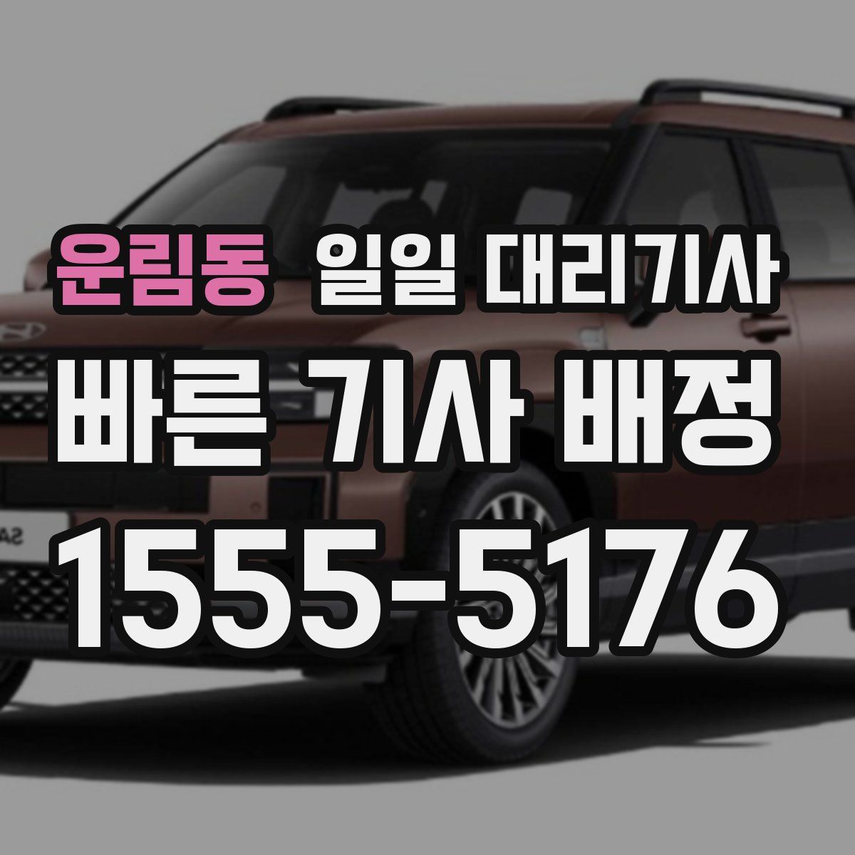 운림동 일일 대리기사