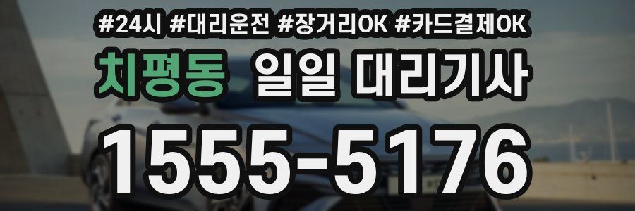 치평동 일일 대리기사