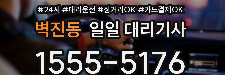 벽진동 일일 대리기사