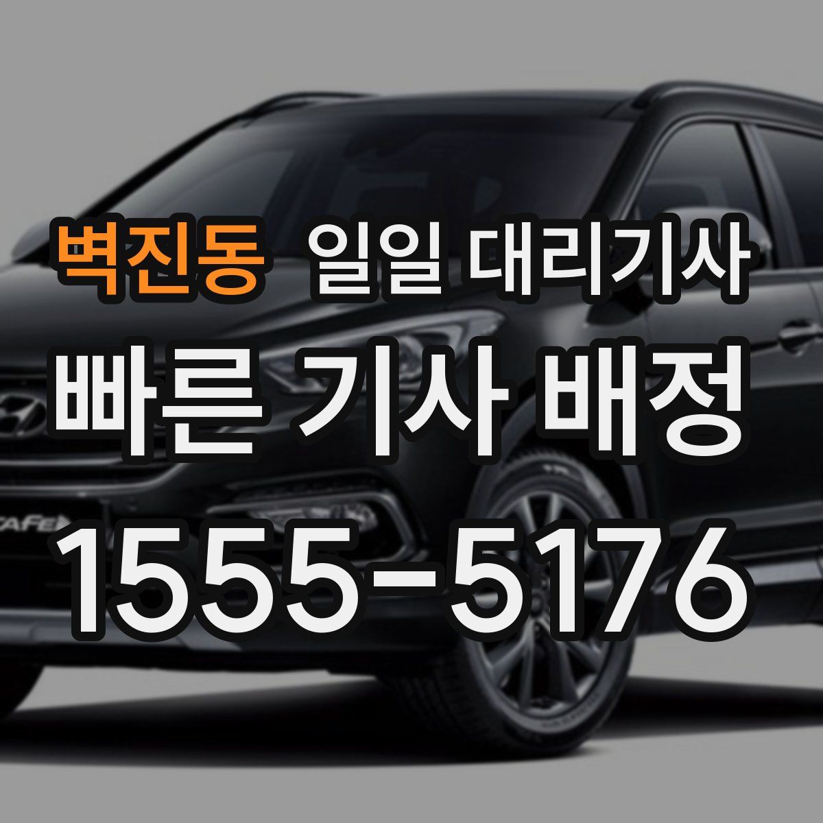 벽진동 일일 대리기사