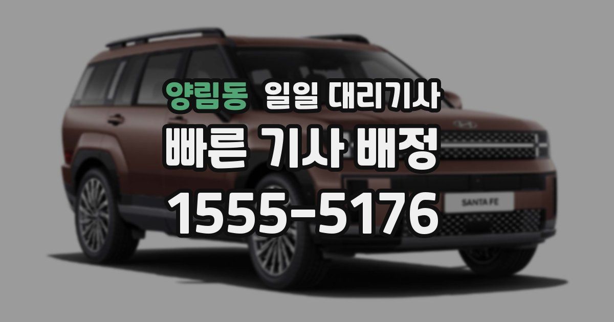 양림동 일일 대리기사