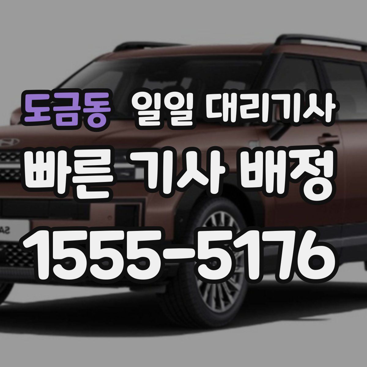 도금동 일일 대리기사