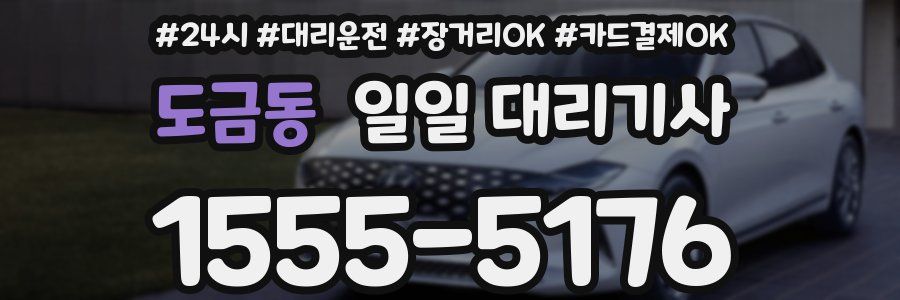 도금동 일일 대리기사