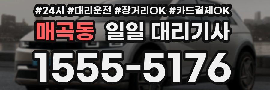 매곡동 일일 대리기사