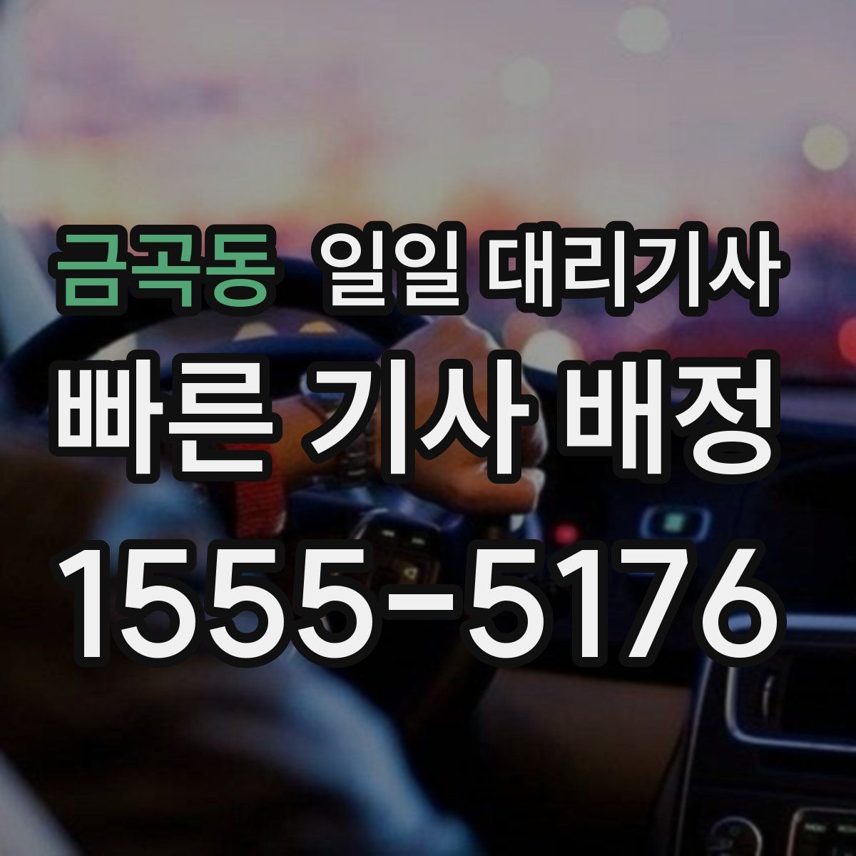 금곡동 일일 대리기사