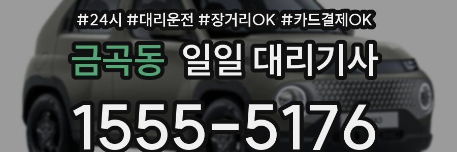 금곡동 일일 대리기사