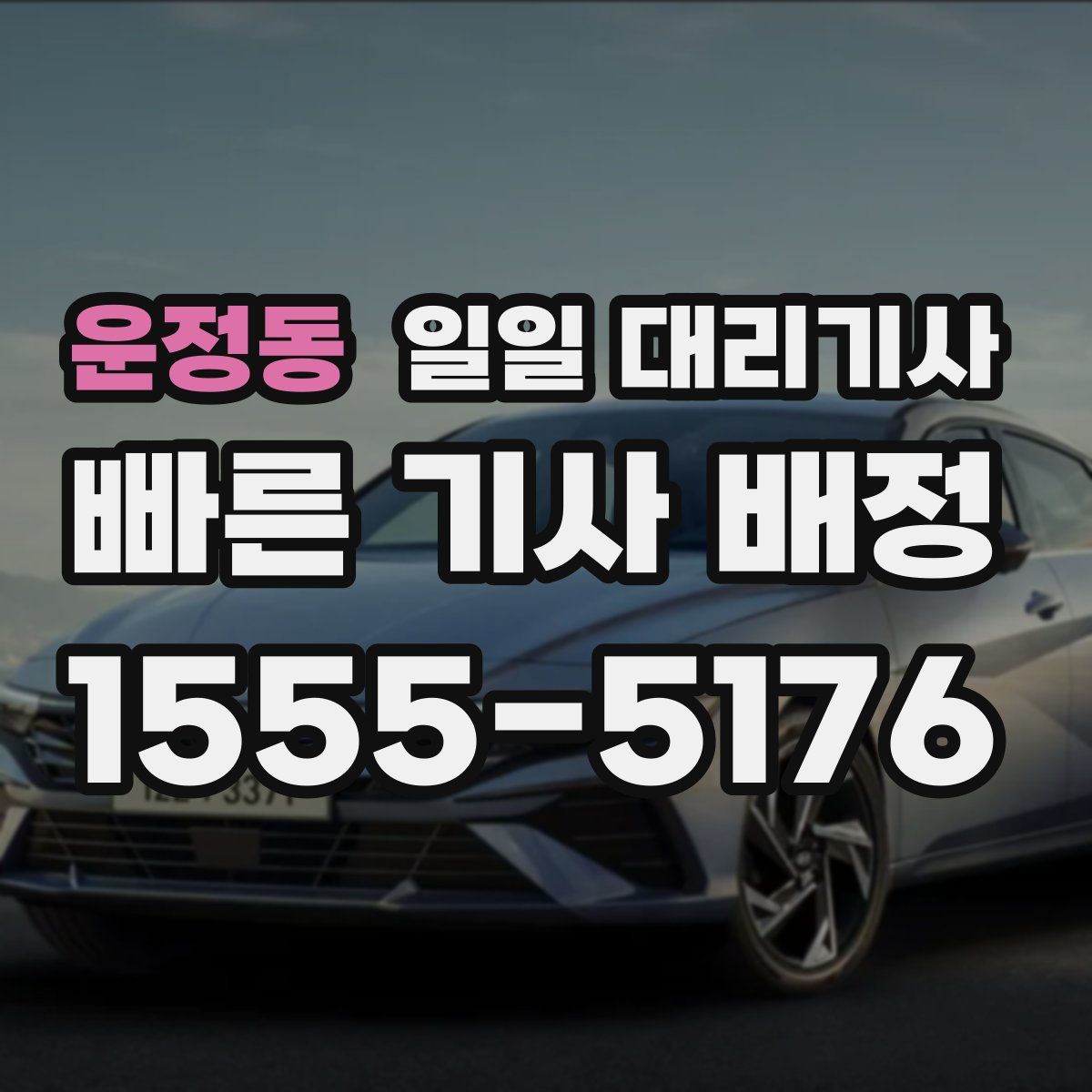 운정동 일일 대리기사