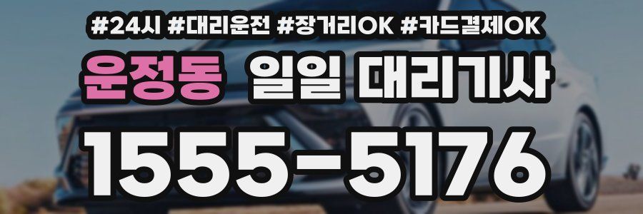 운정동 일일 대리기사