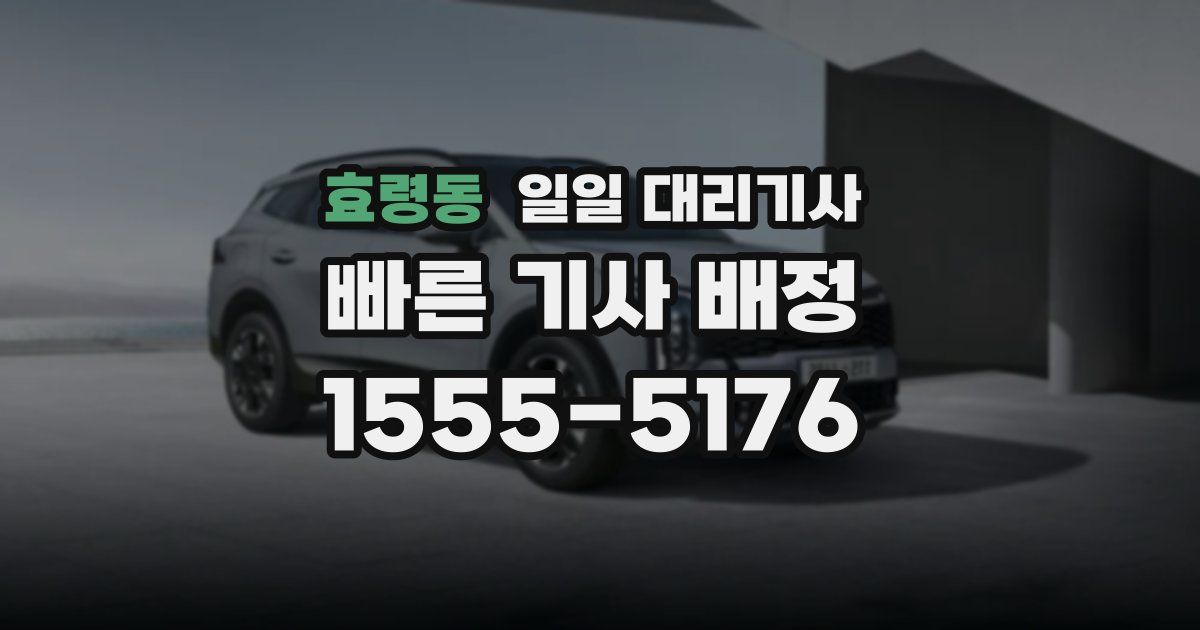 효령동 일일 대리기사