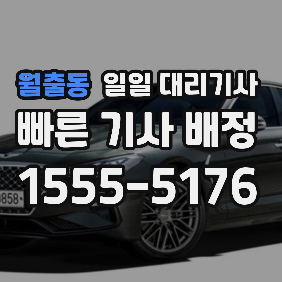 월출동 일일 대리기사