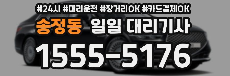 송정동 일일 대리기사