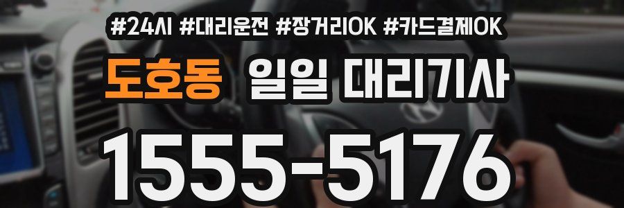 도호동 일일 대리기사