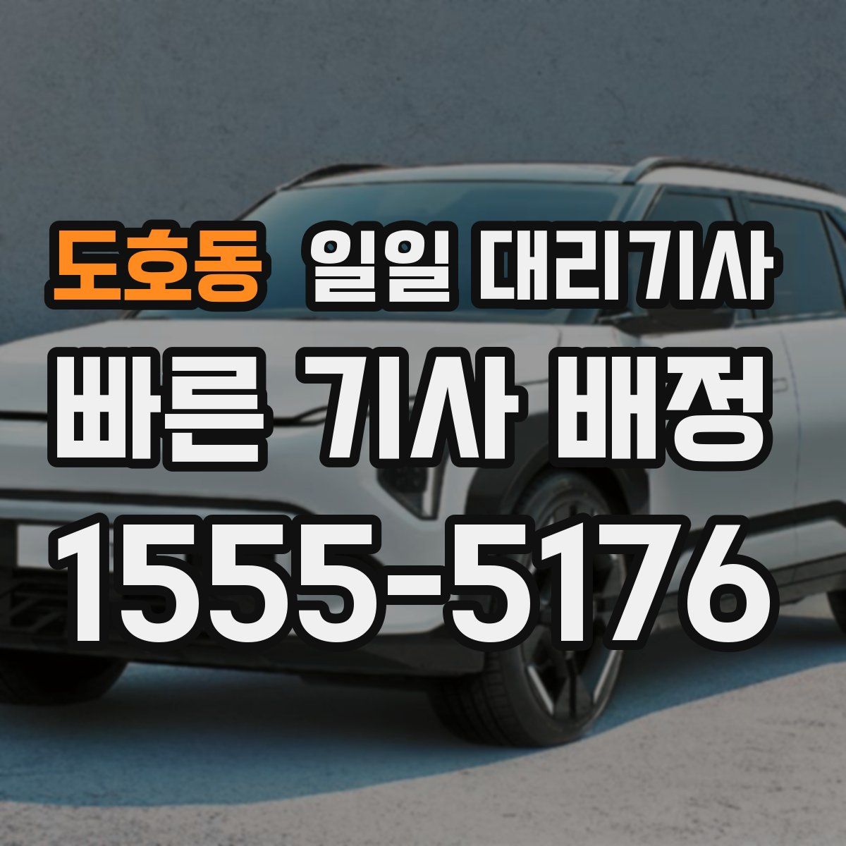 도호동 일일 대리기사