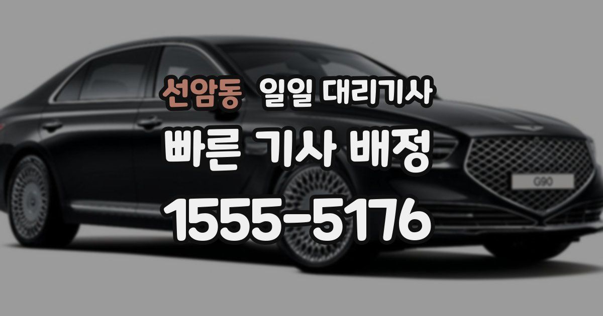 선암동 일일 대리기사