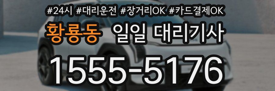황룡동 일일 대리기사