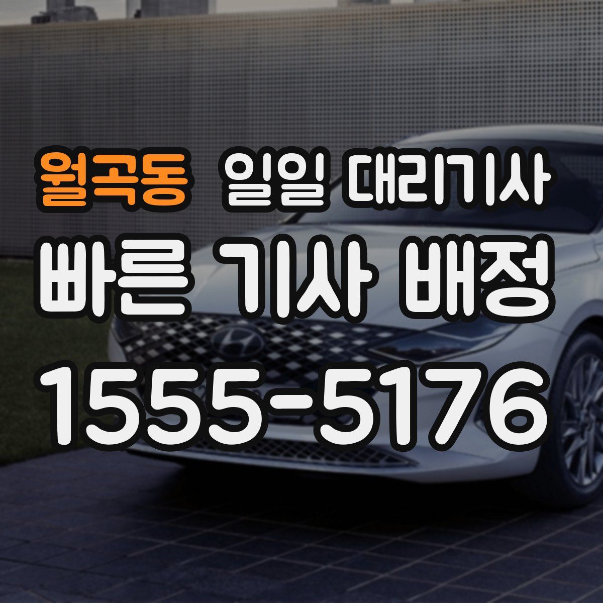 월곡동 일일 대리기사