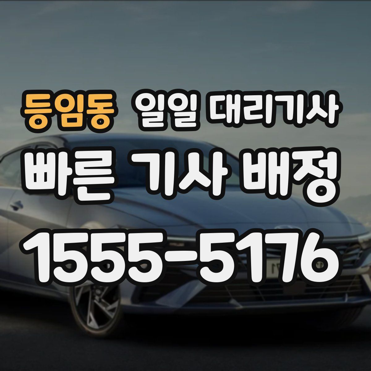 등임동 일일 대리기사