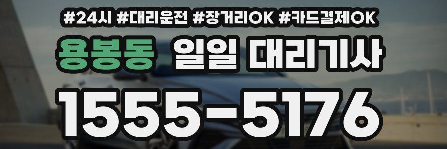 용봉동 일일 대리기사