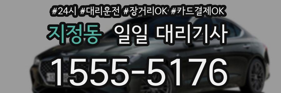 지정동 일일 대리기사