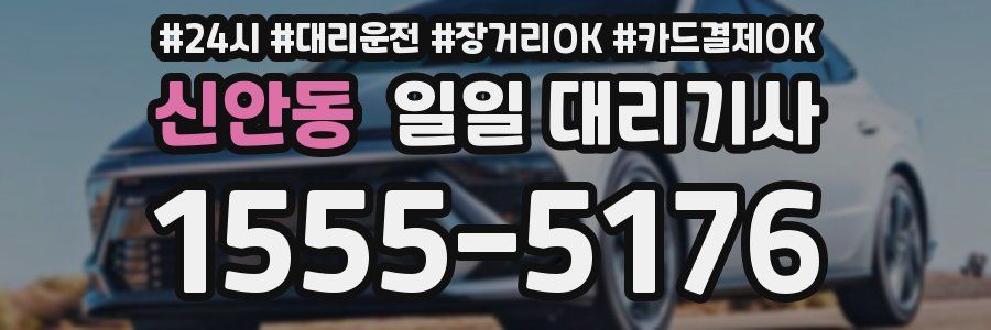 신안동 일일 대리기사