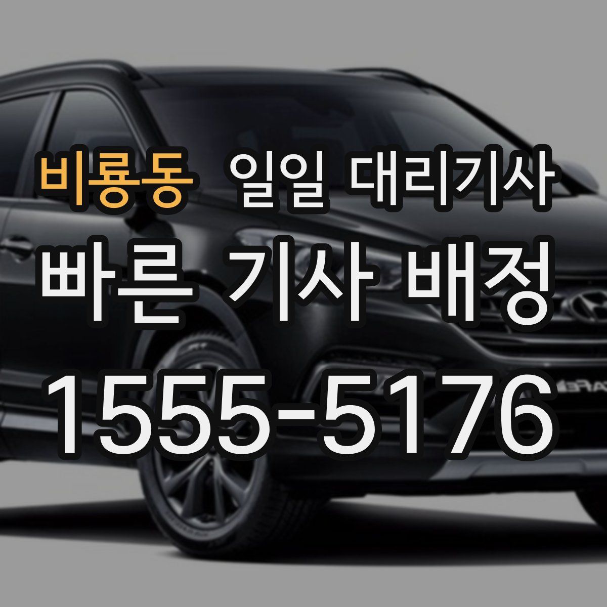 비룡동 일일 대리기사