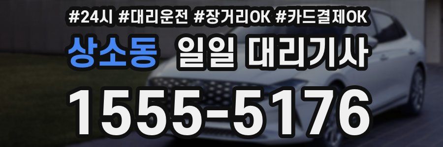 상소동 일일 대리기사