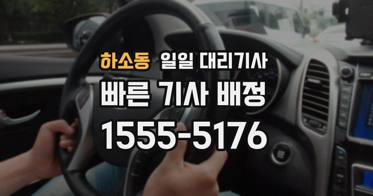 하소동 일일 대리기사