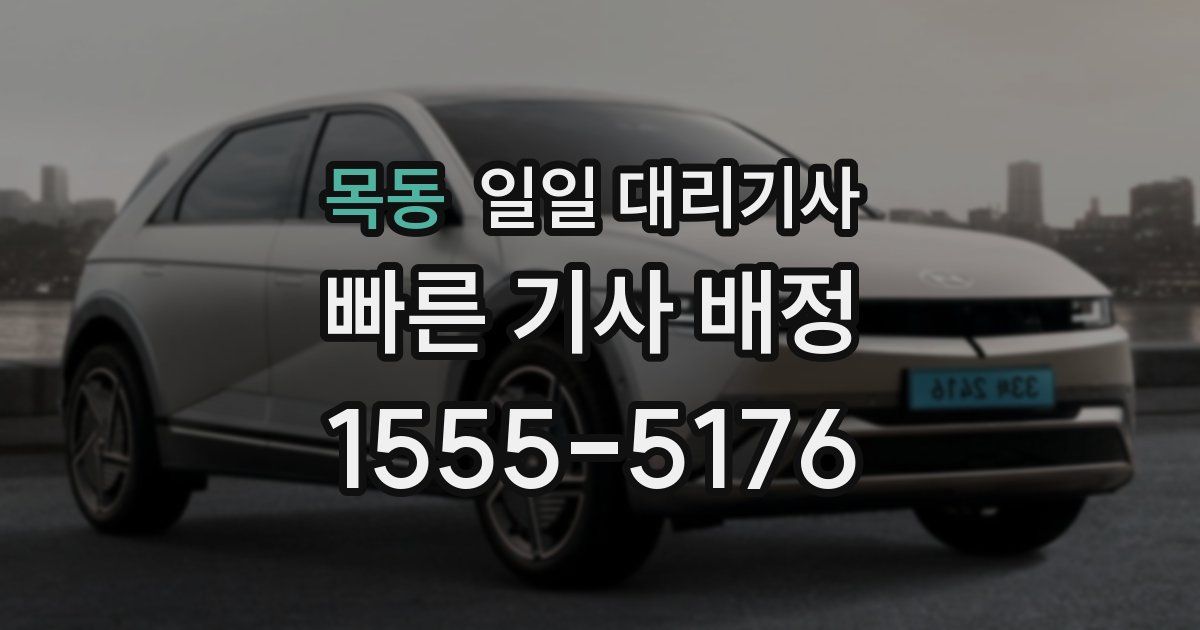 목동 일일 대리기사