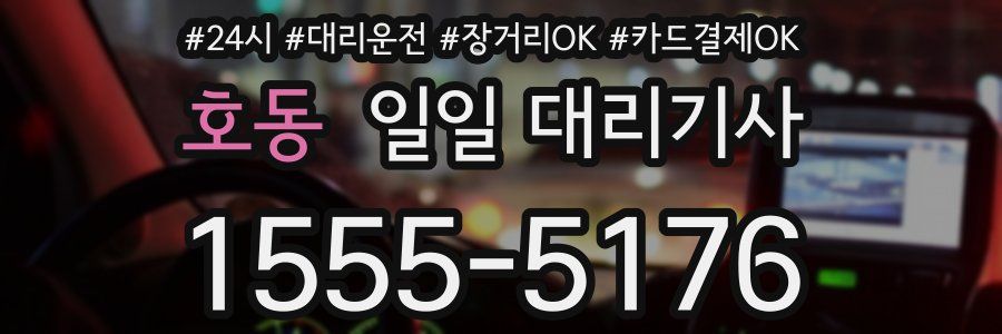 호동 일일 대리기사