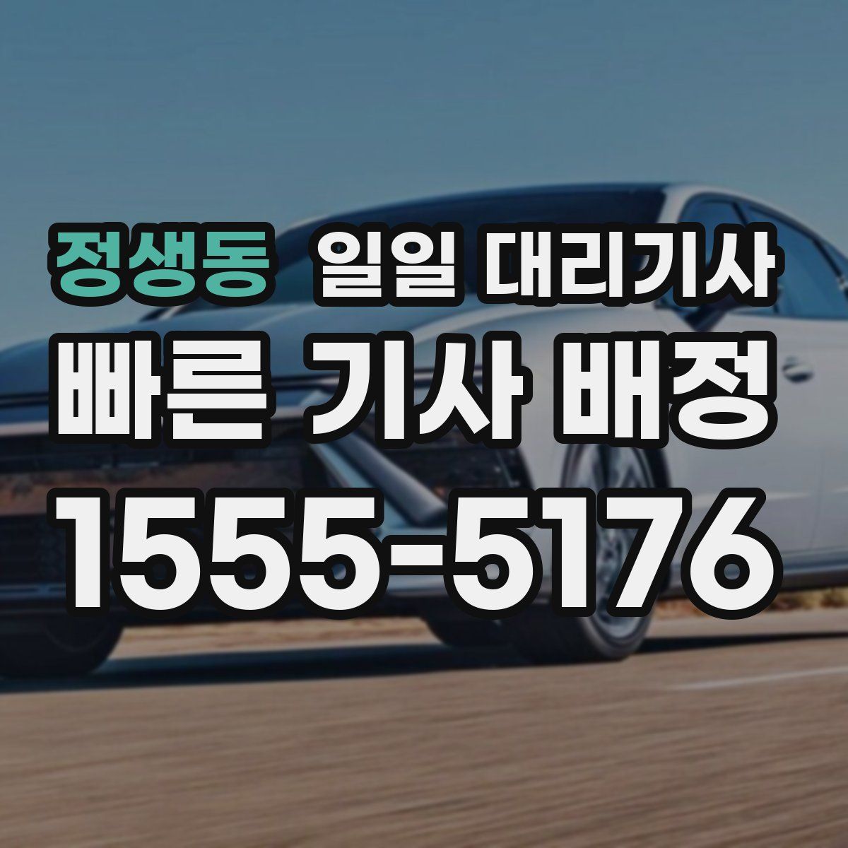 정생동 일일 대리기사