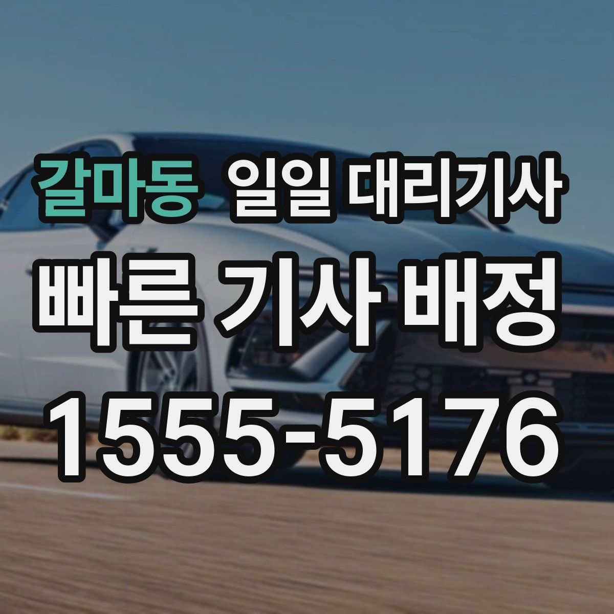 갈마동 일일 대리기사