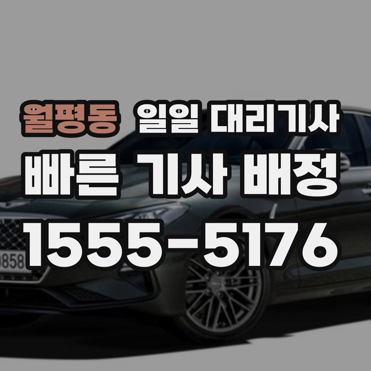 월평동 일일 대리기사
