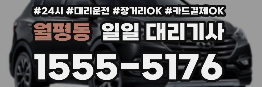 월평동 일일 대리기사