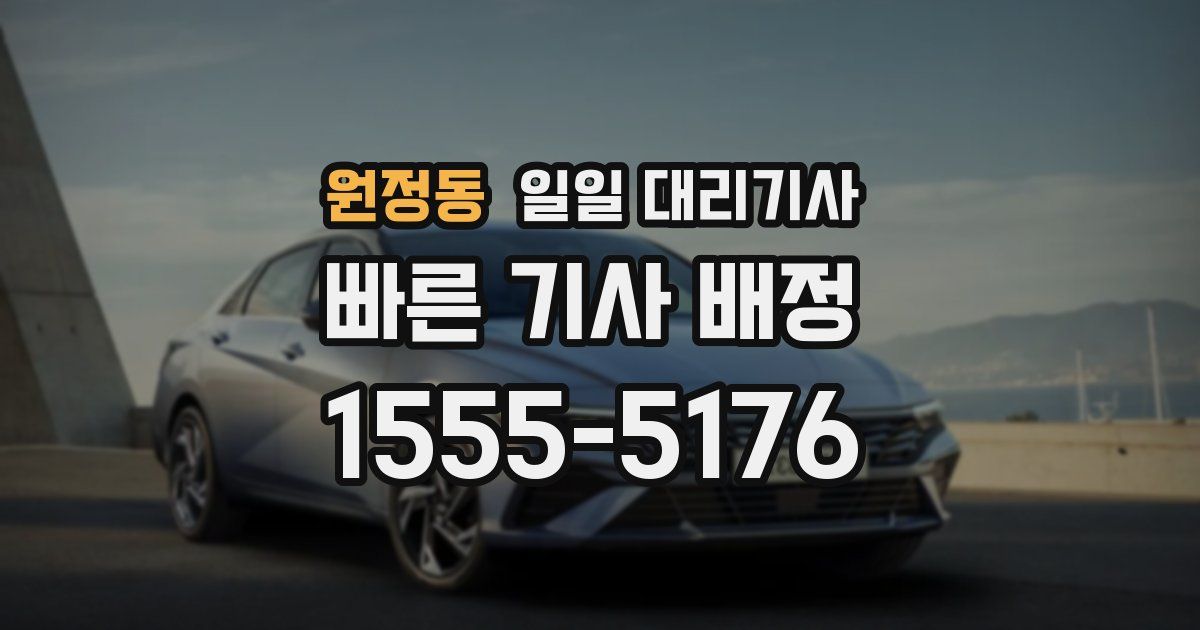 원정동 일일 대리기사
